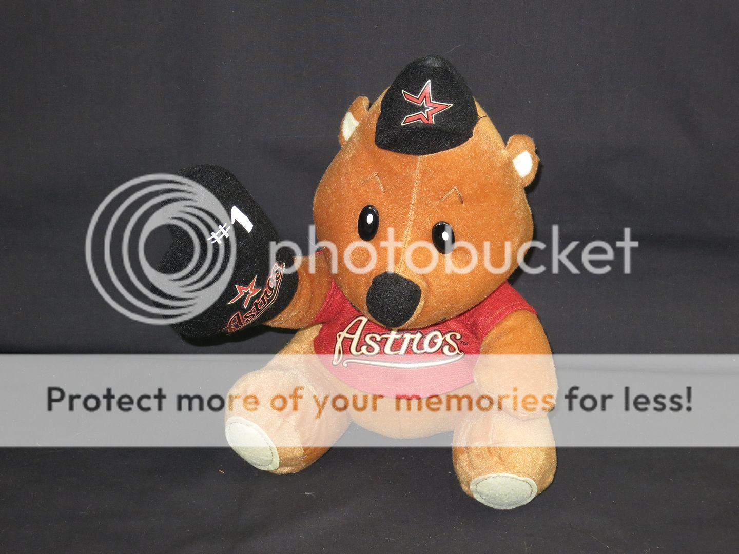 orioles teddy bear